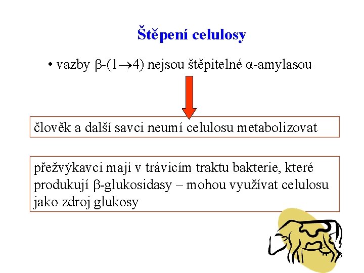 Štěpení celulosy • vazby -(1 4) nejsou štěpitelné α-amylasou člověk a další savci neumí