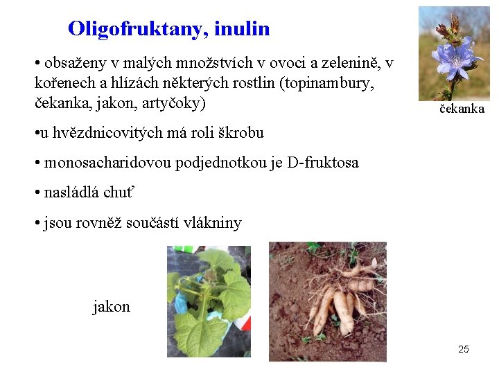 Oligofruktany, inulin • obsaženy v malých množstvích v ovoci a zelenině, v kořenech a