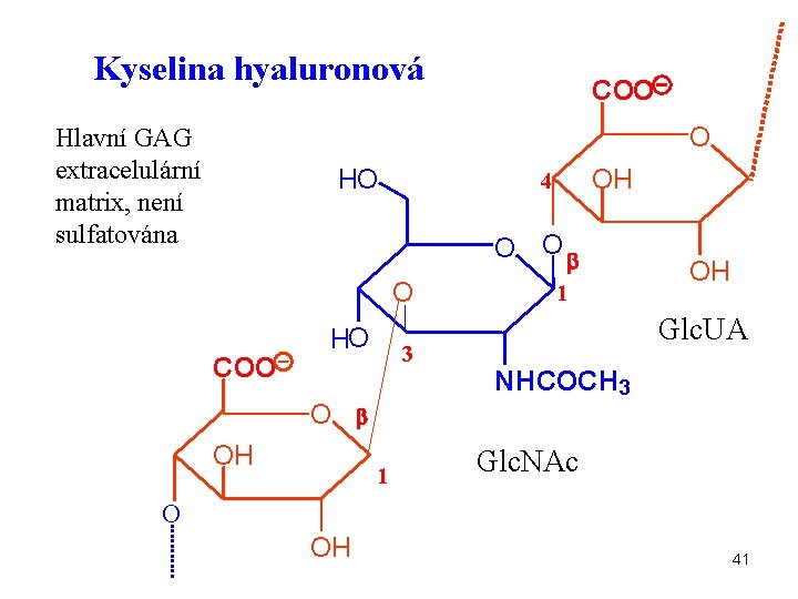 Kyselina hyaluronová COO O Hlavní GAG extracelulární matrix, není sulfatována HO OH 4 O