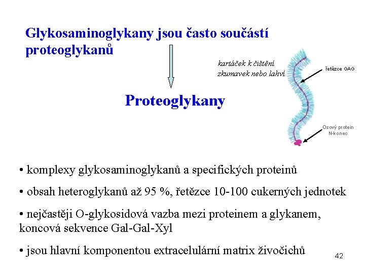 Glykosaminoglykany jsou často součástí proteoglykanů kartáček k čištění zkumavek nebo lahví řetězce GAG Proteoglykany