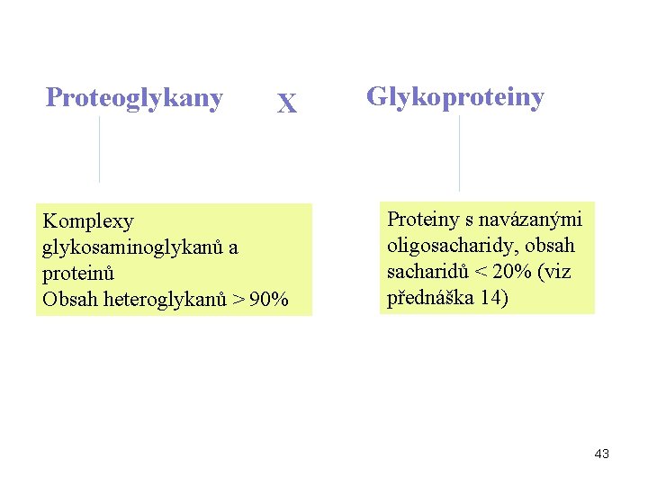 Proteoglykany X Komplexy glykosaminoglykanů a proteinů Obsah heteroglykanů > 90% Glykoproteiny Proteiny s navázanými