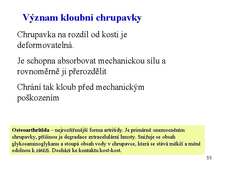 Význam kloubní chrupavky Chrupavka na rozdíl od kosti je deformovatelná. Je schopna absorbovat mechanickou