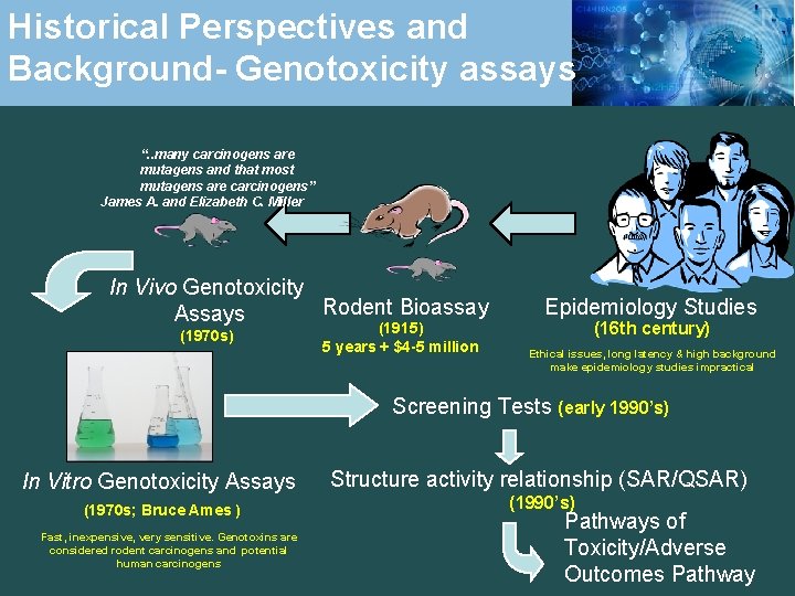 Historical Perspectives and Background- Genotoxicity assays “. . many carcinogens are mutagens and that