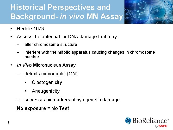 Historical Perspectives and Background- in vivo MN Assay • Heddle 1973 • Assess the