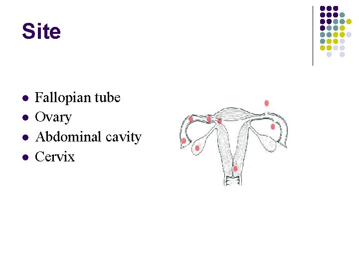 Site Fallopian tube Ovary Abdominal cavity Cervix 