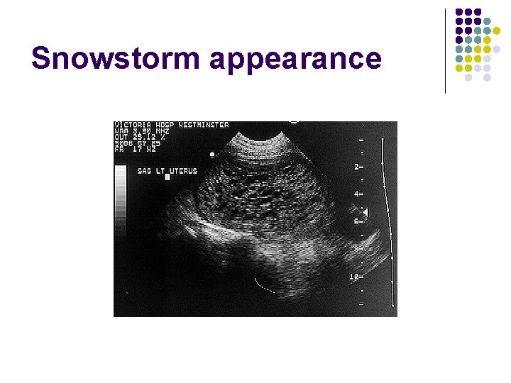 Snowstorm appearance 