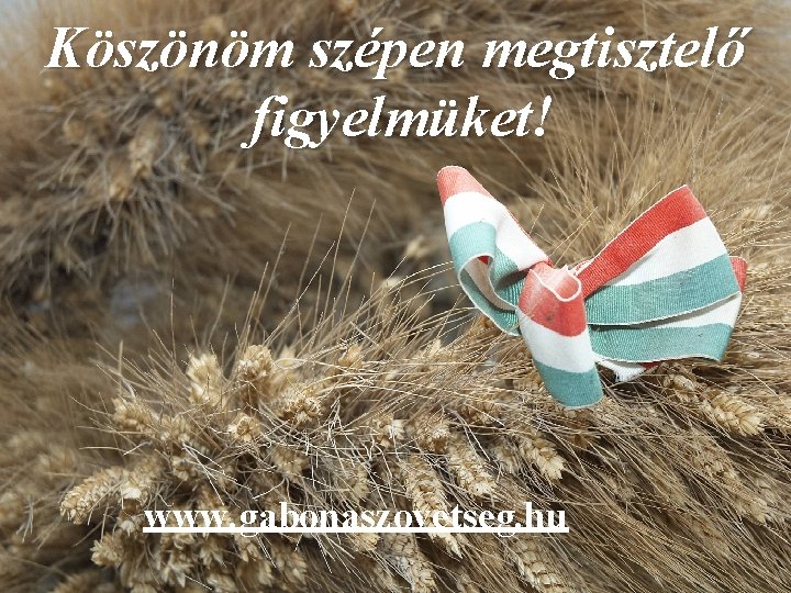 Köszönöm szépen megtisztelő figyelmüket! www. gabonaszovetseg. hu 