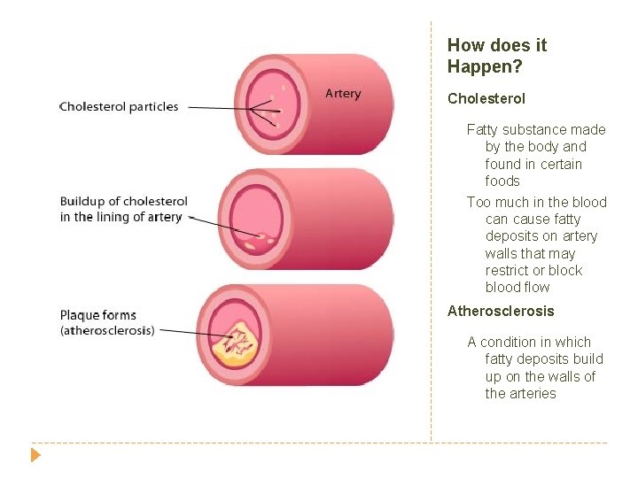 How does it Happen? Cholesterol Fatty substance made by the body and found in
