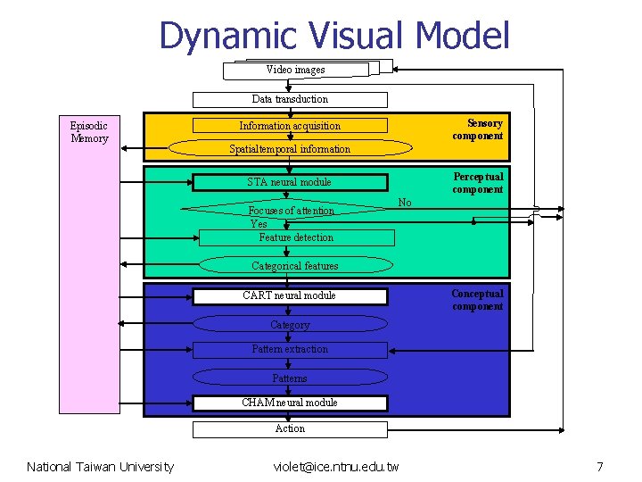 Dynamic Visual Model Video images Data transduction Episodic Memory Sensory component Information acquisition Spatialtemporal