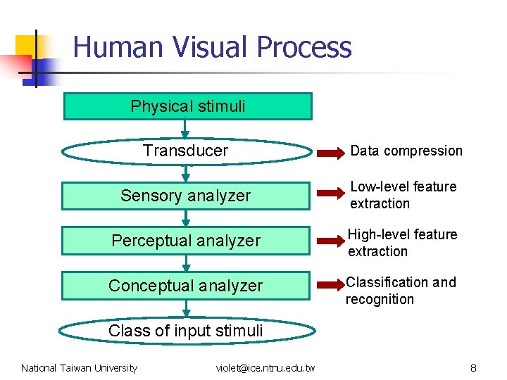 Human Visual Process Physical stimuli Transducer Data compression Sensory analyzer Low-level feature extraction Perceptual