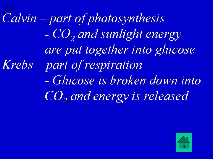 11 Calvin – part of photosynthesis - CO 2 and sunlight energy are put