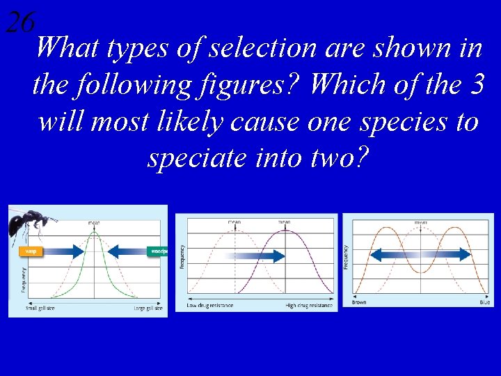 26 What types of selection are shown in the following figures? Which of the