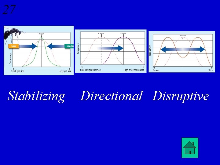 27 Stabilizing Directional Disruptive 