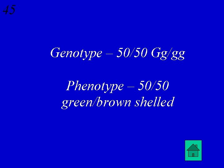 45 Genotype – 50/50 Gg/gg Phenotype – 50/50 green/brown shelled 
