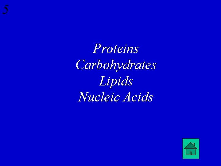 5 Proteins Carbohydrates Lipids Nucleic Acids 