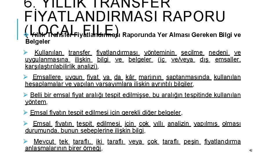 6. YILLIK TRANSFER FİYATLANDIRMASI RAPORU (LOCAL FILE) Raporunda Yer Alması Gereken Bilgi ve v