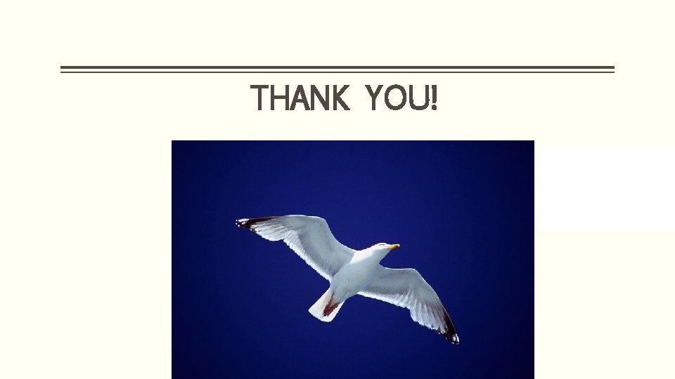 THANK YOU! 28 THANK YOU! 28