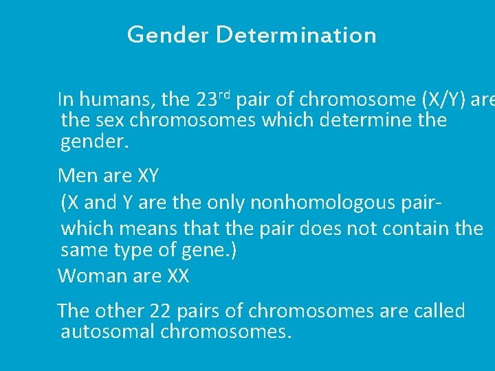 Gender Determination In humans, the 23 rd pair of chromosome (X/Y) are the sex