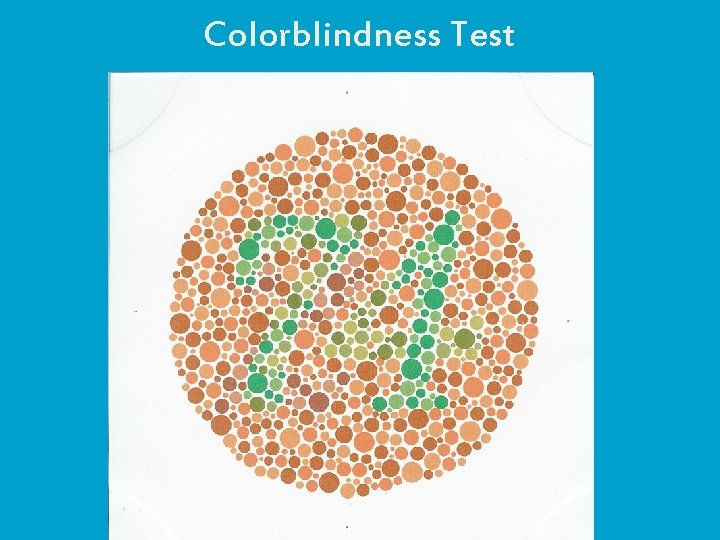 Colorblindness Test 