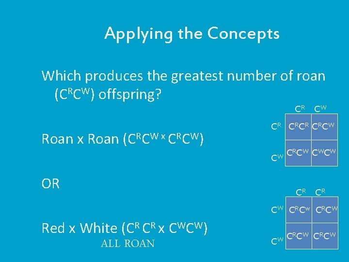 Applying the Concepts Which produces the greatest number of roan (CRCW) offspring? CR Roan