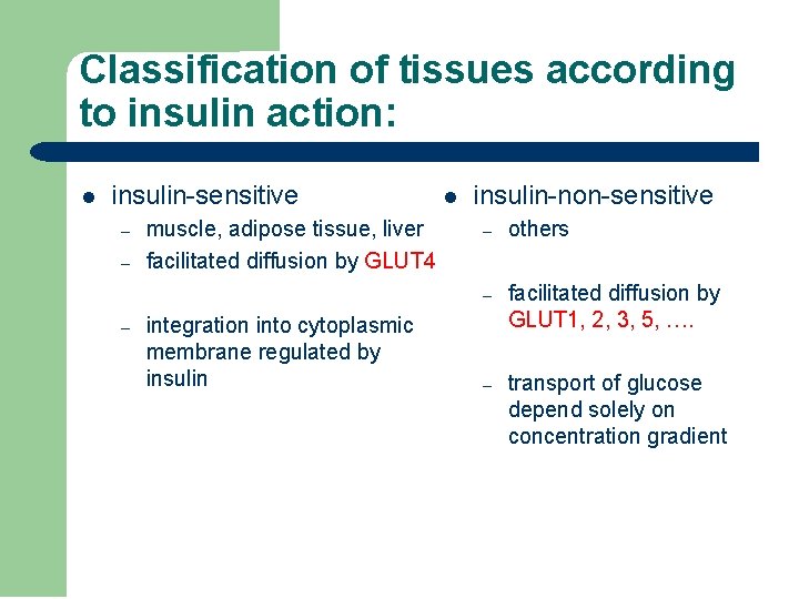 Classification of tissues according to insulin action: l insulin-sensitive – – – muscle, adipose