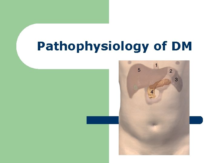 Pathophysiology of DM 
