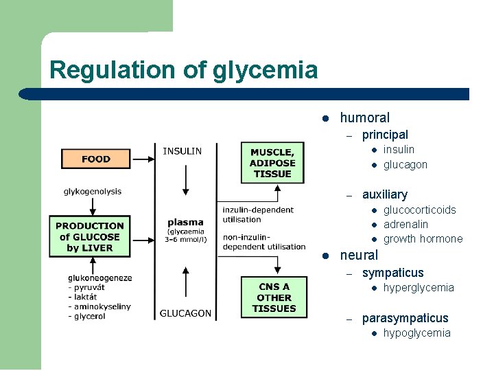 Regulation of glycemia l humoral – principal l l – auxiliary l l insulin