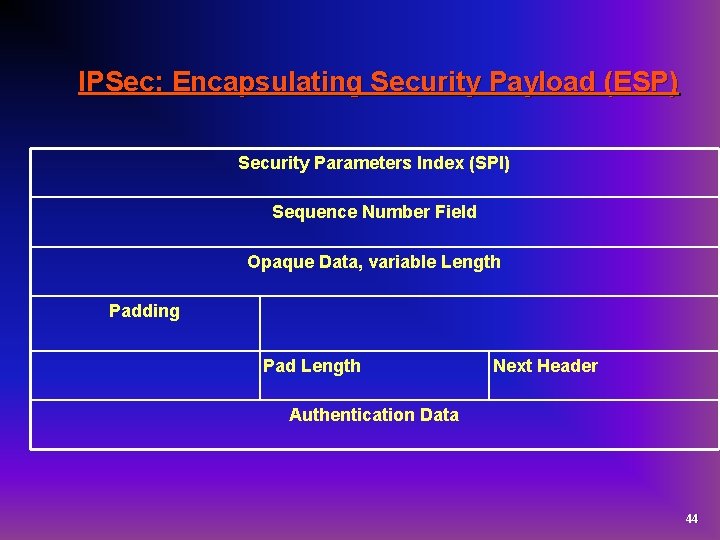 IPSec: Encapsulating Security Payload (ESP) Security Parameters Index (SPI) Sequence Number Field Opaque Data,