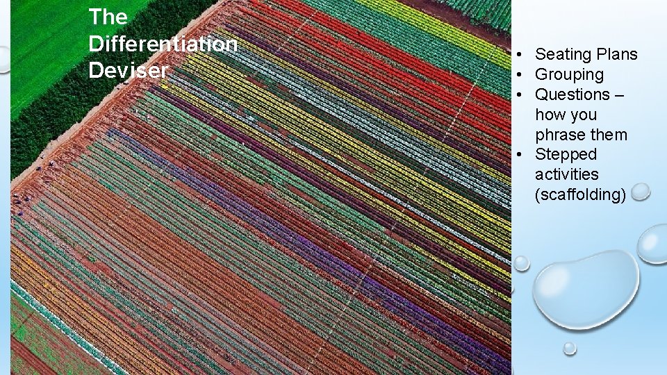 The Differentiation Deviser • Seating Plans • Grouping • Questions – how you phrase