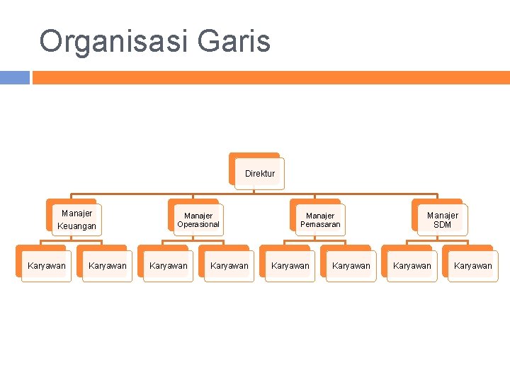 Organisasi Garis Direktur Manajer Keuangan Karyawan Manajer Operasional Karyawan Manajer Pemasaran Karyawan Manajer SDM