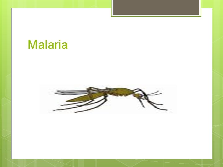 Malaria 