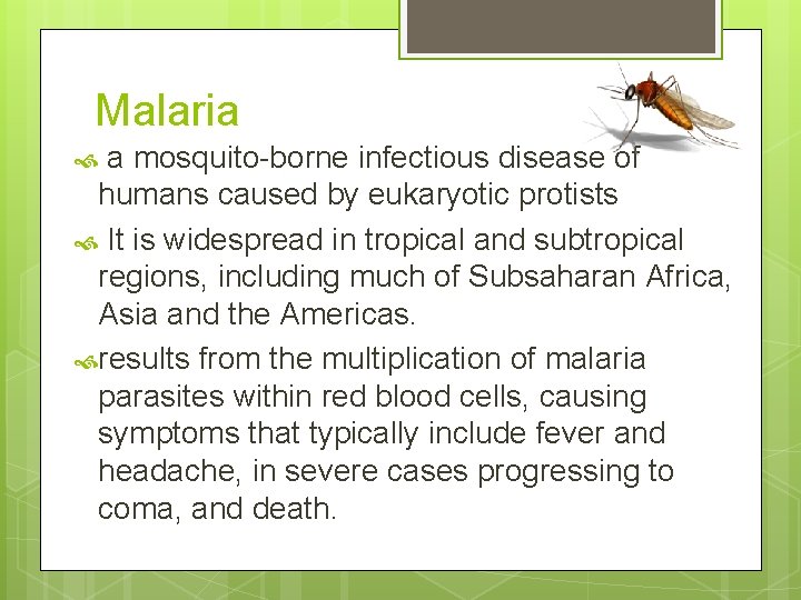 Malaria a mosquito-borne infectious disease of humans caused by eukaryotic protists It is widespread