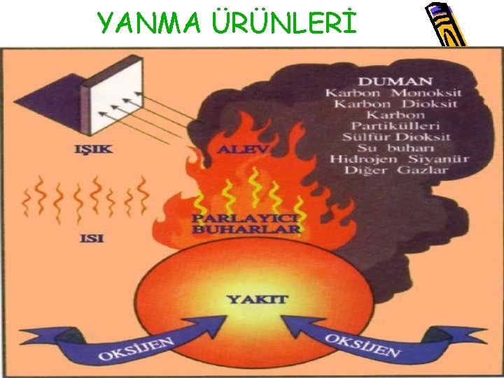 YANMA ÜRÜNLERİ 41 