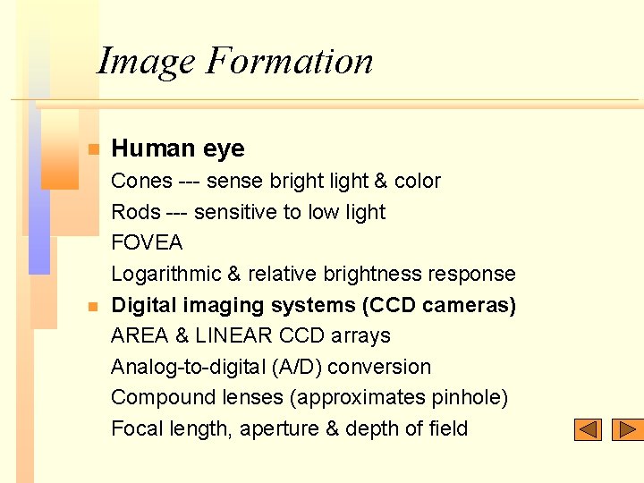 Image Formation n Human eye n Cones --- sense bright light & color Rods