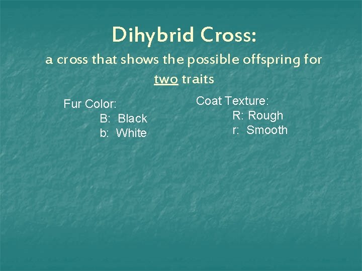 Dihybrid Cross: a cross that shows the possible offspring for two traits Fur Color: