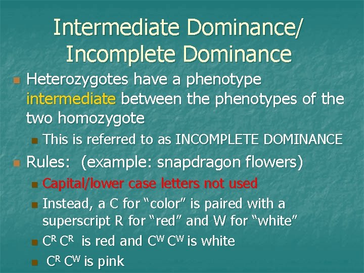 Intermediate Dominance/ Incomplete Dominance n Heterozygotes have a phenotype intermediate between the phenotypes of