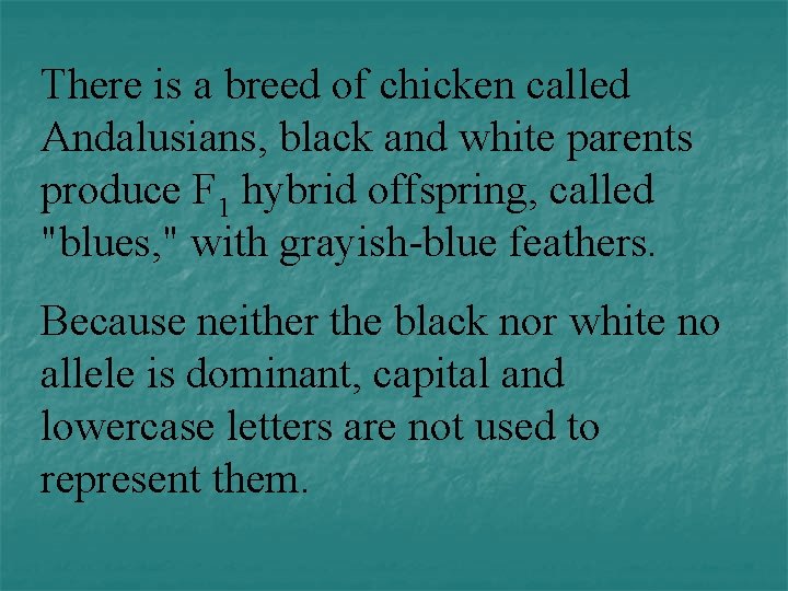 There is a breed of chicken called Andalusians, black and white parents produce F