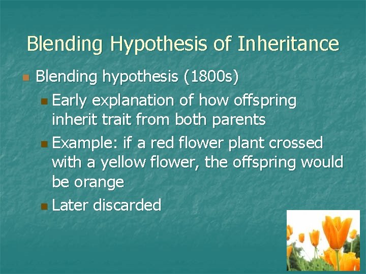 Blending Hypothesis of Inheritance n Blending hypothesis (1800 s) n Early explanation of how