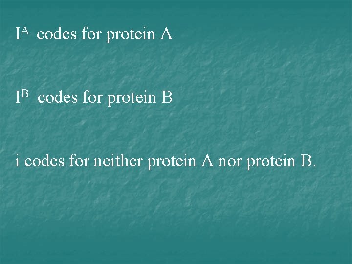 IA codes for protein A IB codes for protein B i codes for neither