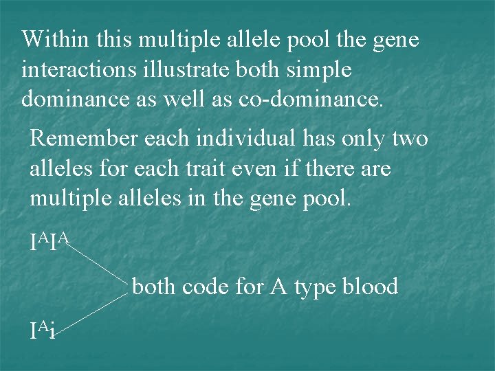 Within this multiple allele pool the gene interactions illustrate both simple dominance as well