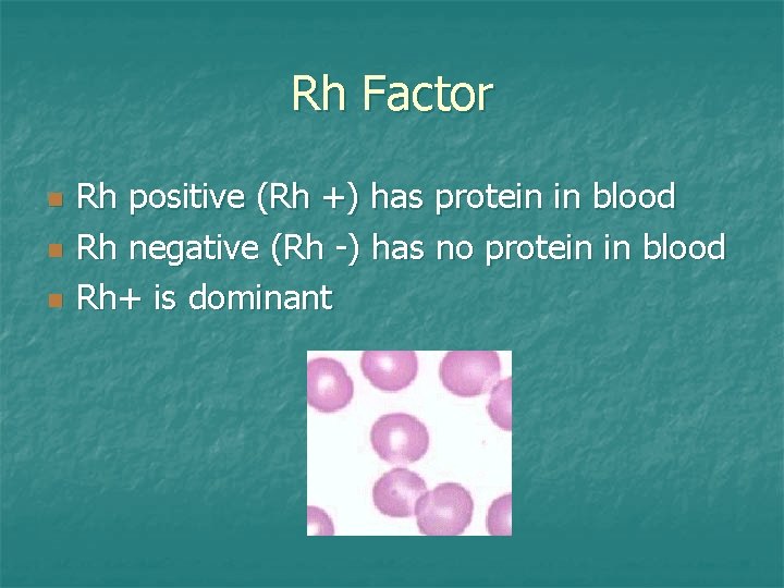 Rh Factor n n n Rh positive (Rh +) has protein in blood Rh
