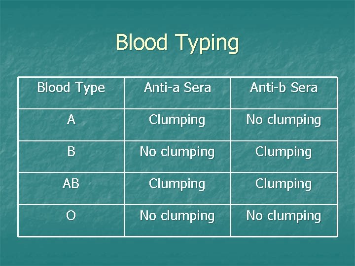 Blood Typing Blood Type Anti-a Sera Anti-b Sera A Clumping No clumping B No
