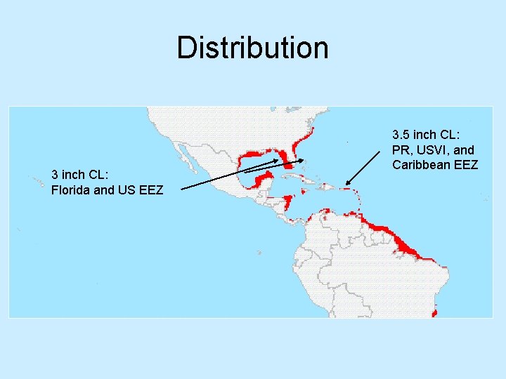 Distribution 3 inch CL: Florida and US EEZ 3. 5 inch CL: PR, USVI,