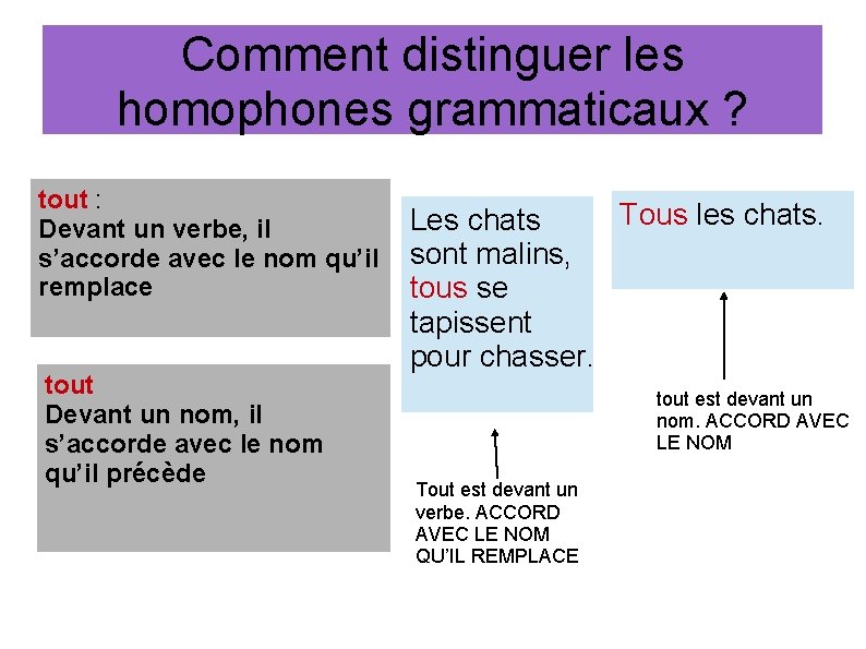 Comment distinguer les homophones grammaticaux ? tout : Devant un verbe, il s’accorde avec