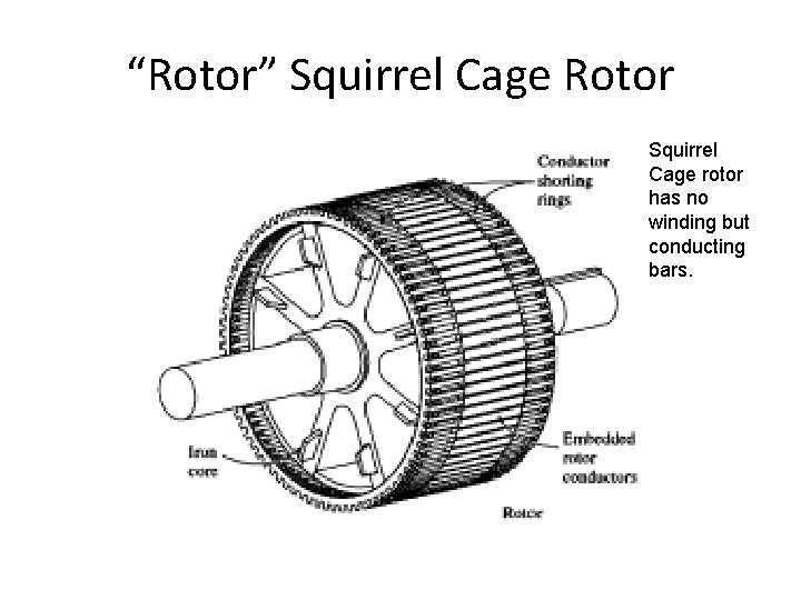 “Rotor” Squirrel Cage Rotor Squirrel Cage rotor has no winding but conducting bars. 