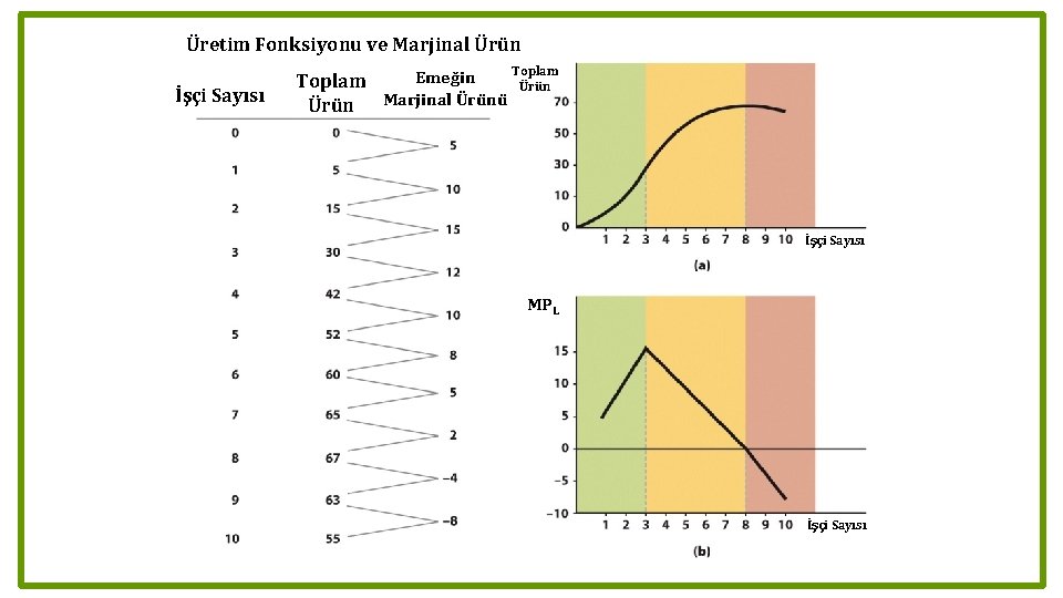 Üretim Fonksiyonu ve Marjinal Ürün İşçi Sayısı Emeğin Toplam Ürün Marjinal Ürünü Toplam Ürün