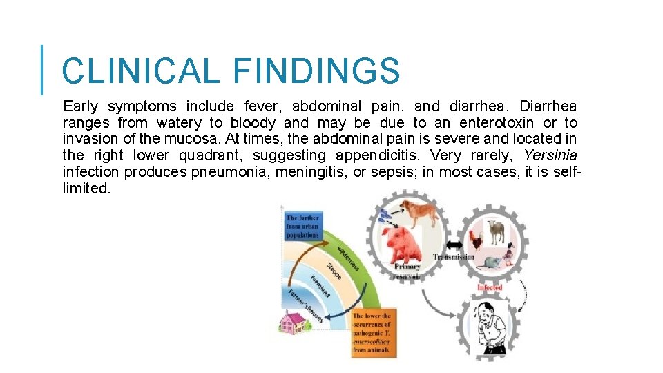 CLINICAL FINDINGS Early symptoms include fever, abdominal pain, and diarrhea. Diarrhea ranges from watery