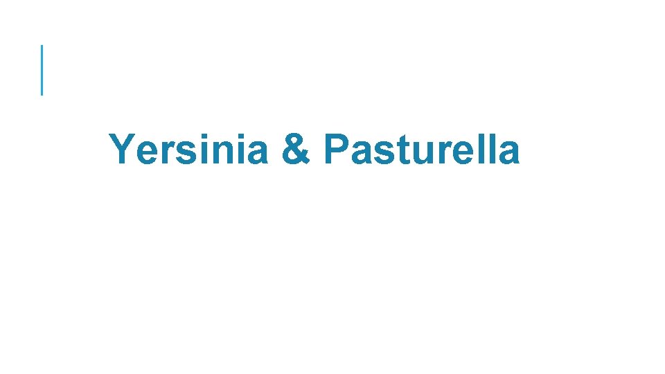 Yersinia & Pasturella 