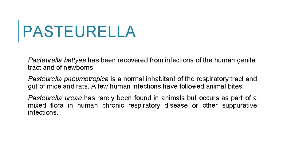 PASTEURELLA Pasteurella bettyae has been recovered from infections of the human genital tract and