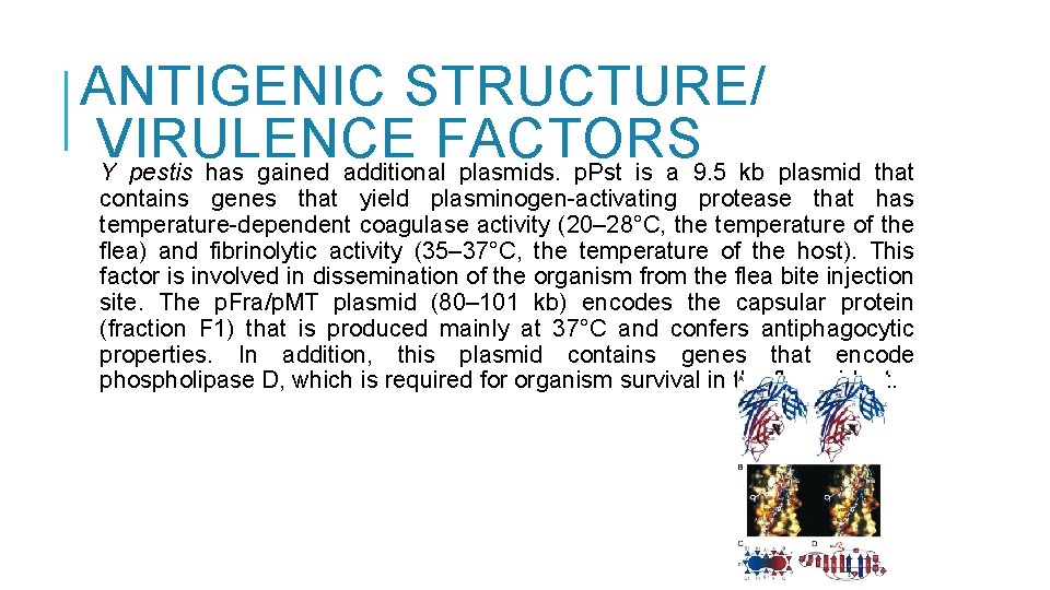 ANTIGENIC STRUCTURE/ VIRULENCE FACTORS Y pestis has gained additional plasmids. p. Pst is a